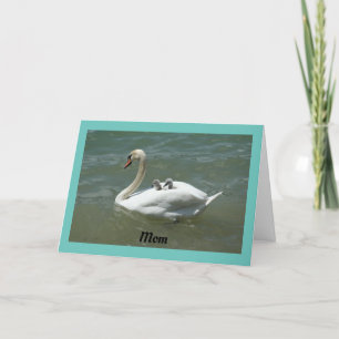 Swan with Babies Mother's Day Card Karte
