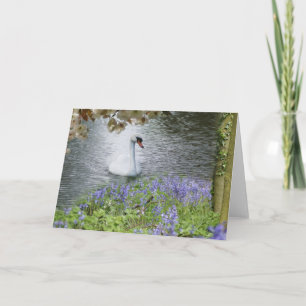 Swan Woodland and Blossom Blank Note Card Karte