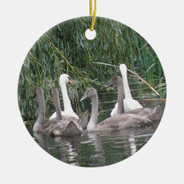 Swans and Cygnets Ornament (Vorne)
