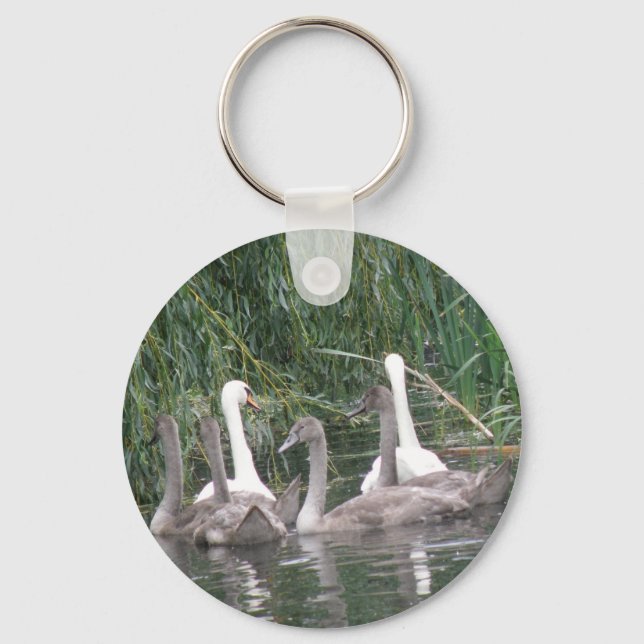 Swans and Cygnets Schlüsselanhänger (Vorderseite)