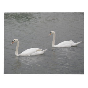 Swans auf dem Notepad Notizblock