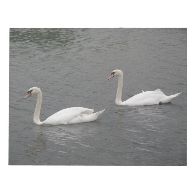 Swans auf dem Notepad Notizblock (Vorderseite)
