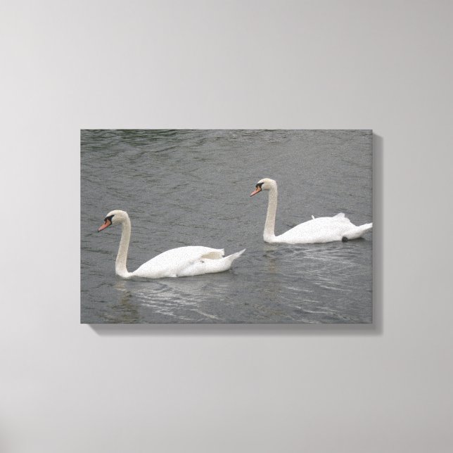 Swans auf der Canvas Print Leinwanddruck (Vorderseite)