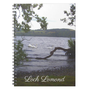 Swans auf Loch Lomond Notizblock