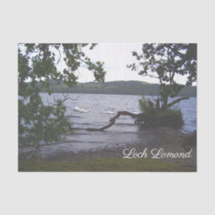Swans auf Loch Lomond Seidenpapier