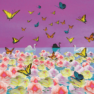 Swans bei Sunset Poster