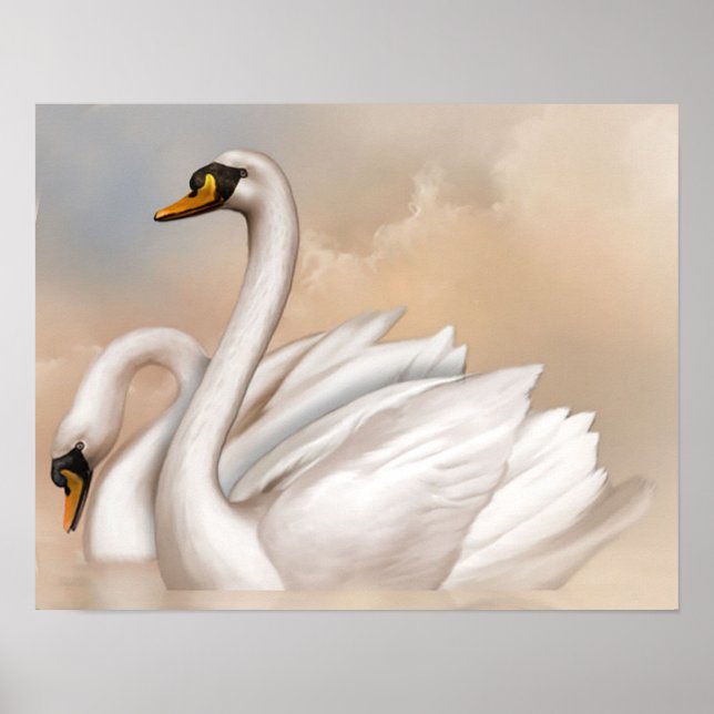 Swans in einem See Poster (Vorne)