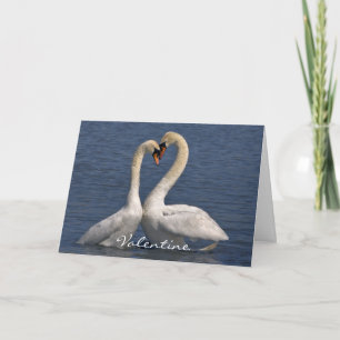Swans in Love Card - Valentine Feiertagskarte