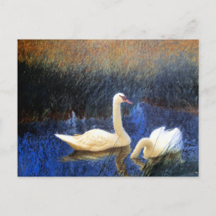 Swans in Reeds von Bruno Liljefors Postkarte