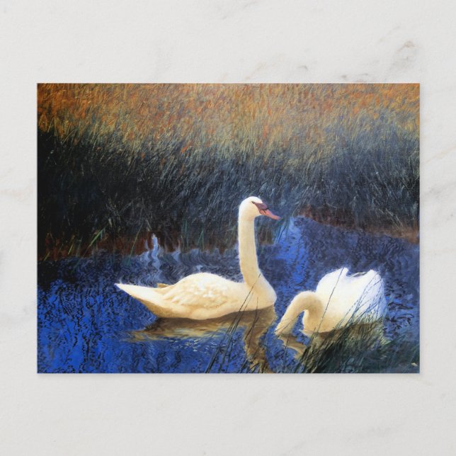 Swans in Reeds von Bruno Liljefors Postkarte (Vorderseite)