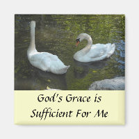 Swans Inspiration