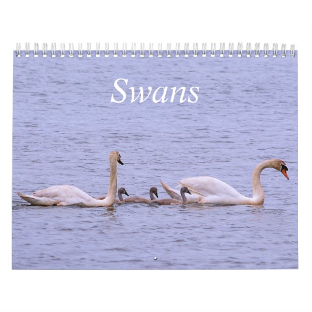 Swans-Kalender Kalender (Titelbild)