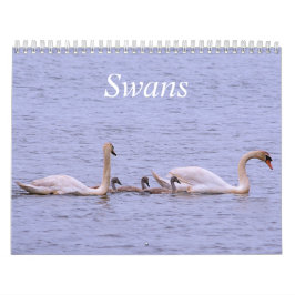 Swans-Kalender Kalender