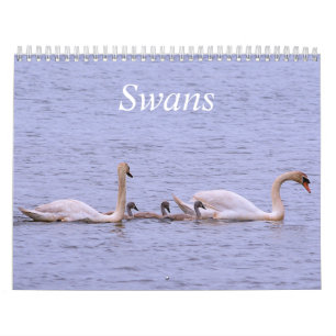 Swans-Kalender Kalender