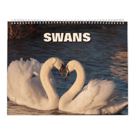 Swans-Kalender Kalender