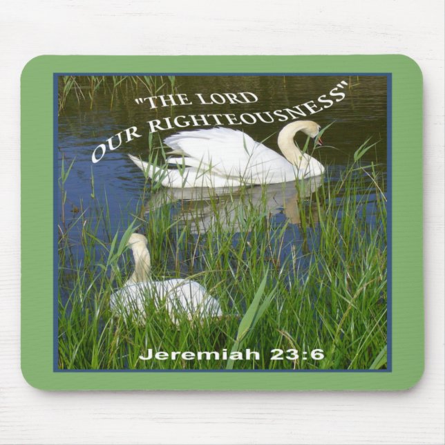 SWANS Mousepad (Vorne)