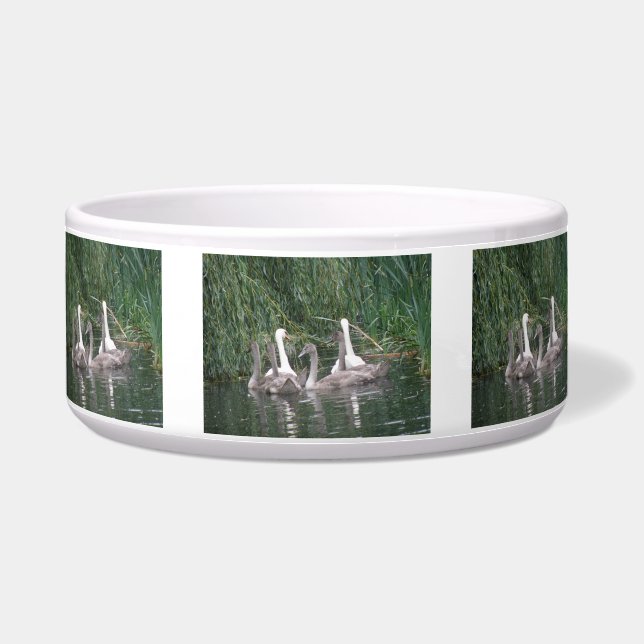 Swans und Cygnets Napf (Vorderseite)