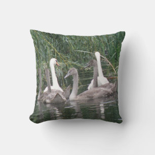 Swans und Cygnets Pillow Kissen