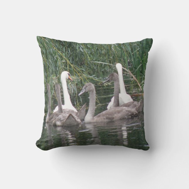 Swans und Cygnets Pillow Kissen (Vorderseite)