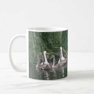 Swans und Cygnets-Tasse Tasse