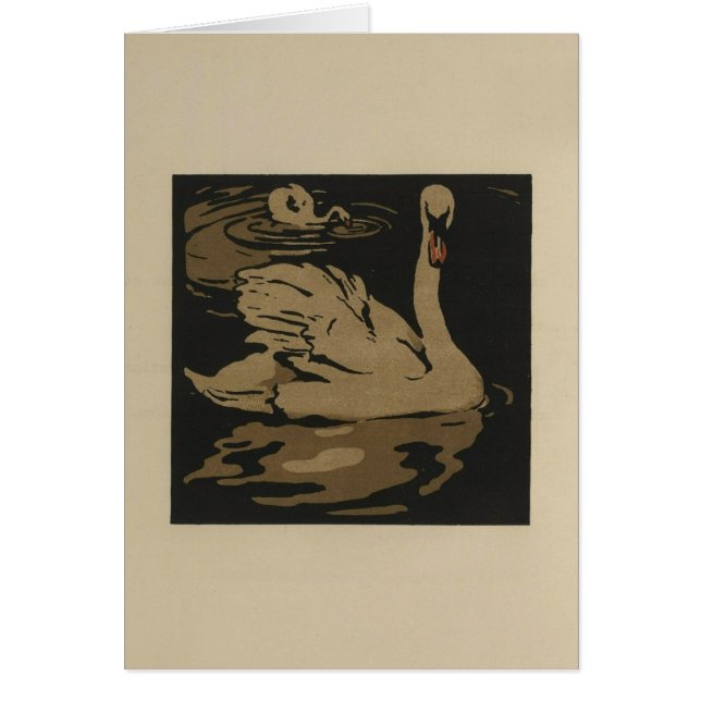 Swans und ihre Reflektionen (Vorne)