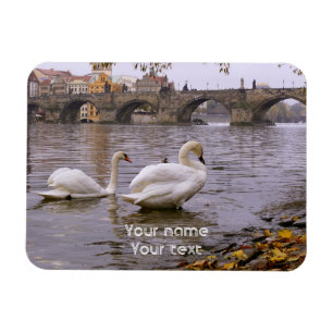 Swans und Karlsbrücke in Prag Magnet