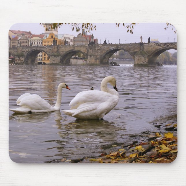 Swans und Karlsbrücke in Prag Mousepad (Vorne)
