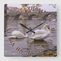 Swans und Karlsbrücke in Prag