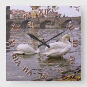 Swans und Karlsbrücke in Prag Quadratische Wanduhr