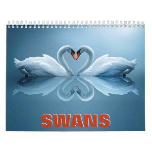 Swans Wall Calendar Kalender