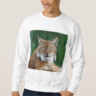 Sweater Luchs CCO_. Sweatshirt