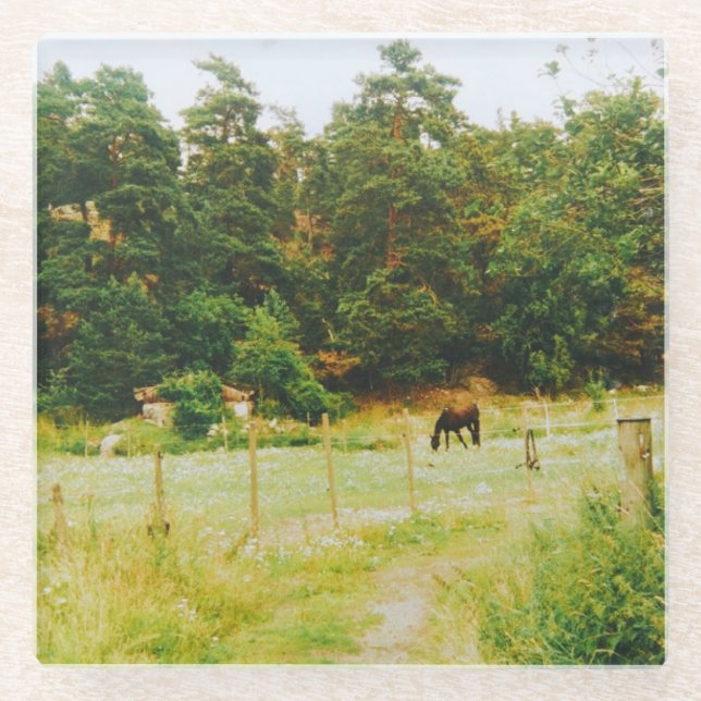 Swedish Countryside Glasuntersetzer (Vorderseite)