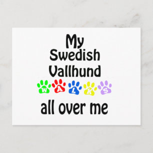 Swedish Vallhund Walks Design Postkarte