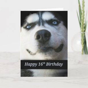 Sweet 16. Geburtstagskarte, Niedlich Husky Einladung