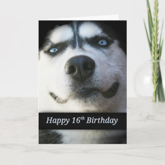 Sweet 16. Geburtstagskarte, Niedlich Husky Einladung