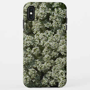 Sweet Alyssum Blume Weiße Blüte Case-Mate iPhone Hülle