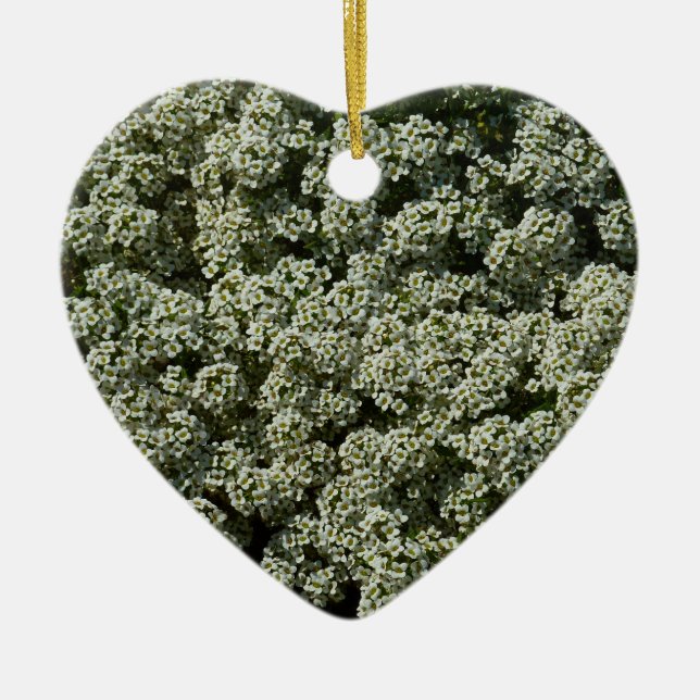 Sweet Alyssum Blume Weiße Blüte Keramik Ornament (Vorne)