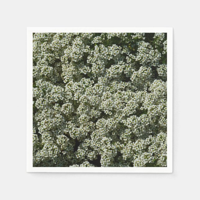Sweet Alyssum Blume Weiße Blüte Serviette (Vorderseite)