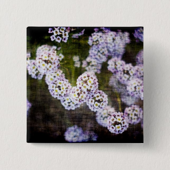 Sweet Alyssum in Grunge Button (Vorderseite)