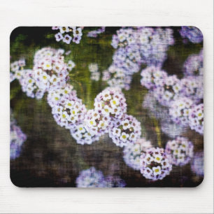 Sweet Alyssum in Grunge Mousepad