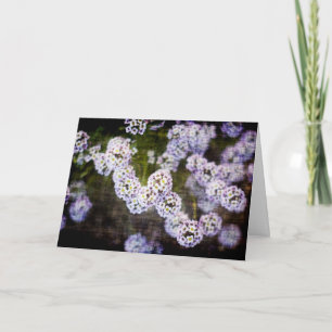 Sweet Alyssum in Grunge Mutter Day Card Karte