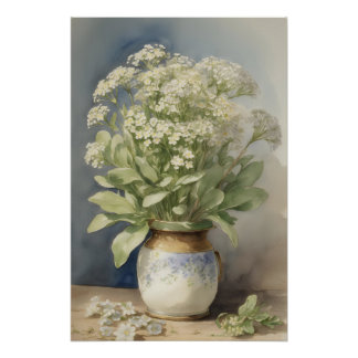 Sweet Alyssum Poster