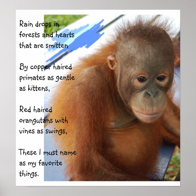 Sweet Animal Favorites Poster (Vorne)