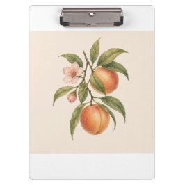 Sweet as a Peach | Vintage Peach Botanical Design Klemmbrett