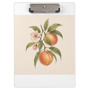 Sweet as a Peach   Vintage Peach Botanical Design Klemmbrett