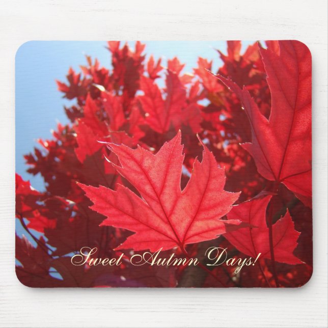 Sweet Autumn Days! mousepad Red Fall Tree Blätter (Vorne)