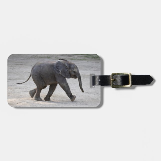 Sweet Baby Elephant Kibali Gepäckanhänger (Vorderseite horizontal)