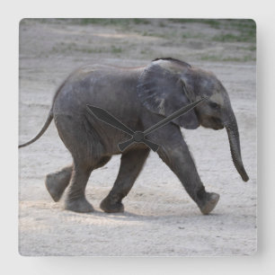 Sweet Baby Elephant Kibali Quadratische Wanduhr