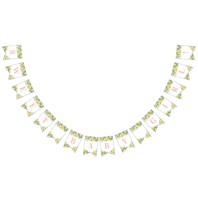 Sweet Baby Girl Pink Lemons Citrus Baby Dusche Wimpelkette (Alle)