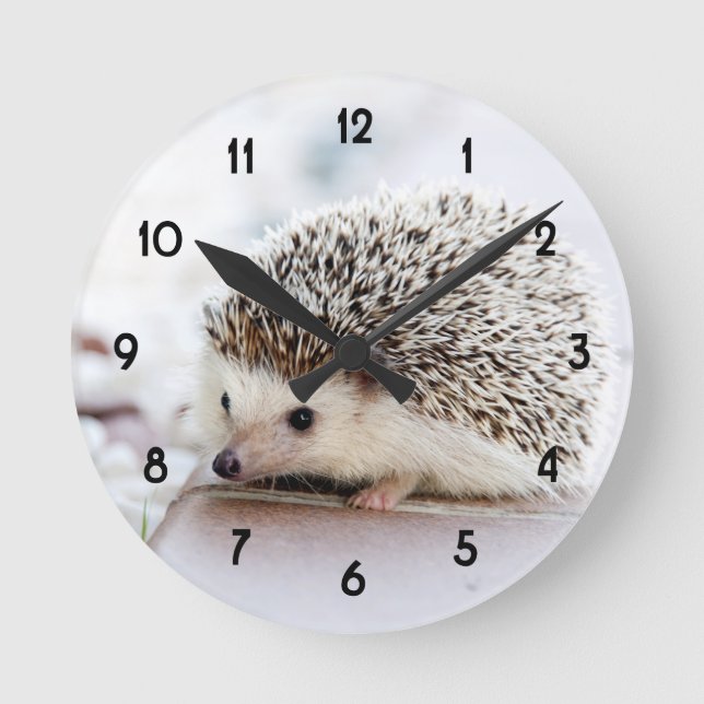 Sweet Baby Igel Runde Wanduhr (Vorderseite)